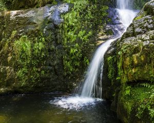 Preview wallpaper river, cascade, grass, nature
