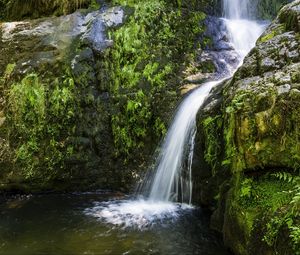 Preview wallpaper river, cascade, grass, nature