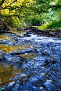Preview wallpaper river, cascade, landscape, trees, nature