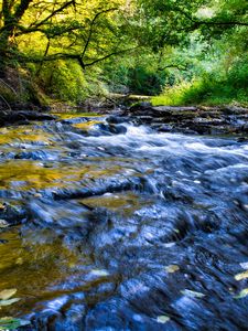 Preview wallpaper river, cascade, landscape, trees, nature