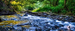 Preview wallpaper river, cascade, landscape, trees, nature