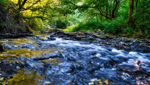 Preview wallpaper river, cascade, landscape, trees, nature