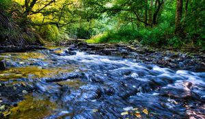 Preview wallpaper river, cascade, landscape, trees, nature