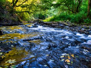 Preview wallpaper river, cascade, landscape, trees, nature