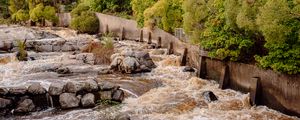 Preview wallpaper river, cascade, stones, trees, nature