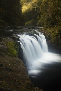 Preview wallpaper river, cascade, trees, nature