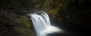 Preview wallpaper river, cascade, trees, nature