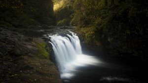 Preview wallpaper river, cascade, trees, nature