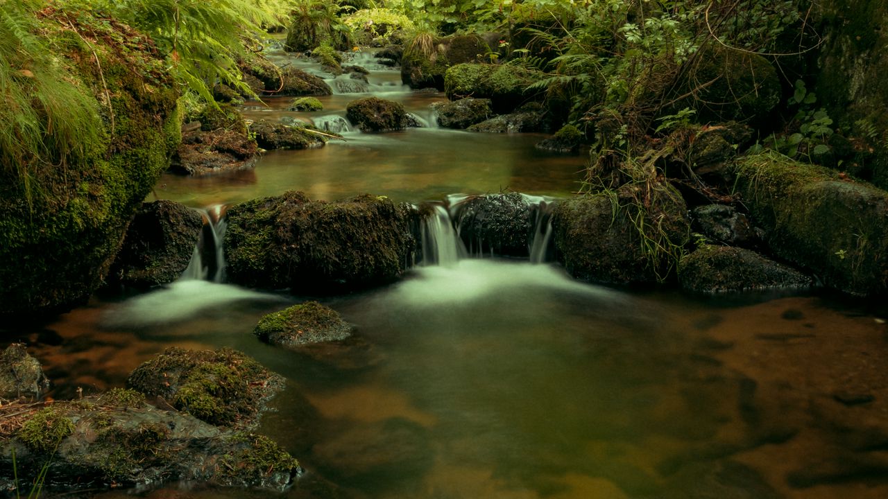 Wallpaper river, cascade, water, trees