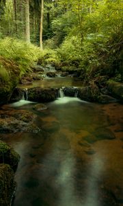 Preview wallpaper river, cascade, water, trees