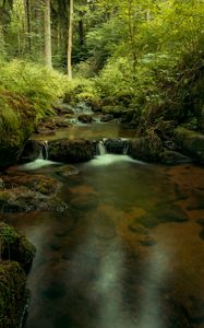 Preview wallpaper river, cascade, water, trees