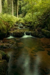 Preview wallpaper river, cascade, water, trees