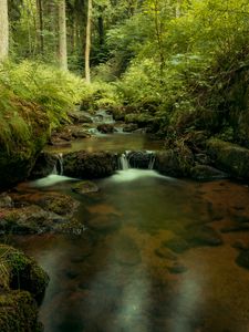 Preview wallpaper river, cascade, water, trees