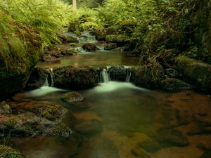 Preview wallpaper river, cascade, water, trees