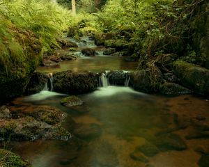 Preview wallpaper river, cascade, water, trees