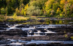 Preview wallpaper river, cascade, water, rocks, forest, landscape