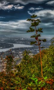 Preview wallpaper river, city, trees, leaves