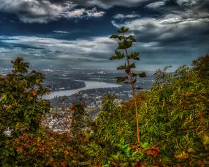 Preview wallpaper river, city, trees, leaves