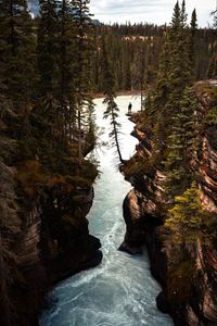 Preview wallpaper river, cliff, trees, rocks, silhouette, nature