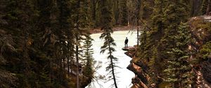 Preview wallpaper river, cliff, trees, rocks, silhouette, nature