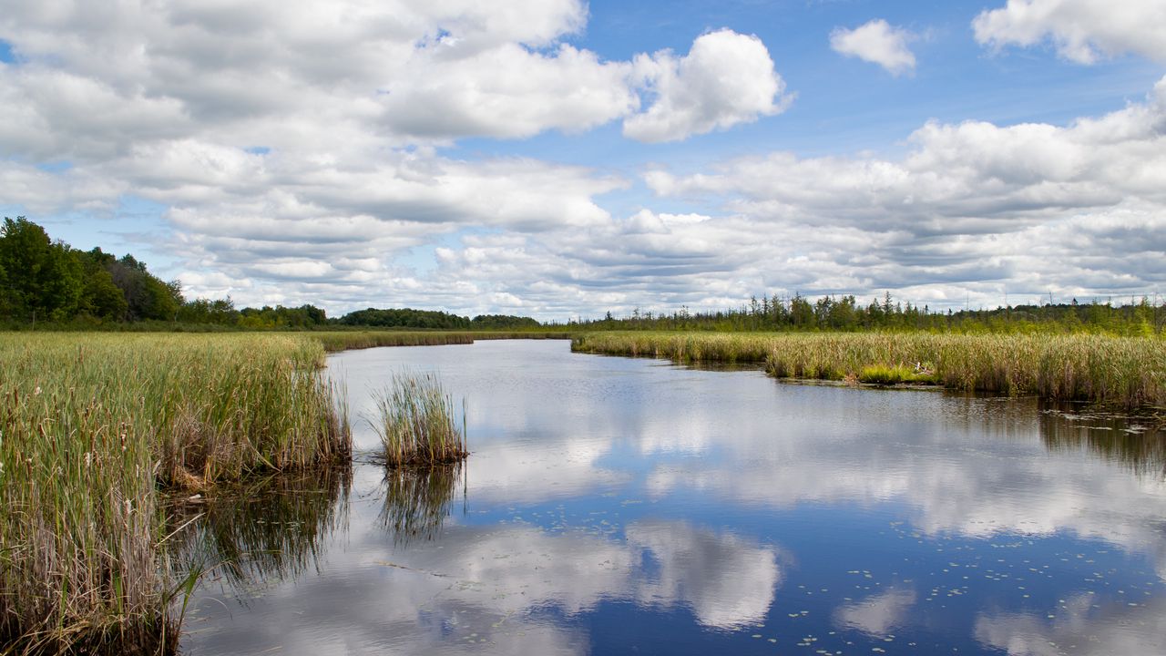 Wallpaper river, clouds, reflection, field, landscape