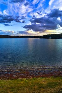 Preview wallpaper river, coast, forest, horizon