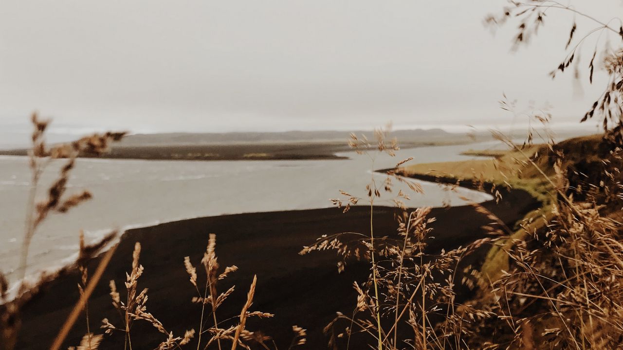 Wallpaper river, coast, grass, landscape, nature