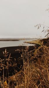 Preview wallpaper river, coast, grass, landscape, nature