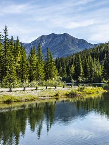 Preview wallpaper river, coast, mountain, forest, landscape, canada