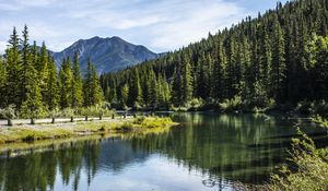 Preview wallpaper river, coast, mountain, forest, landscape, canada