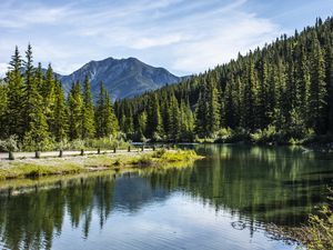 Preview wallpaper river, coast, mountain, forest, landscape, canada