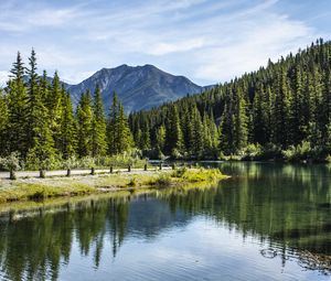 Preview wallpaper river, coast, mountain, forest, landscape, canada