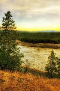 Preview wallpaper river, coast, pines, road, colors, paints, autumn, grass, faded