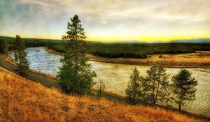 Preview wallpaper river, coast, pines, road, colors, paints, autumn, grass, faded