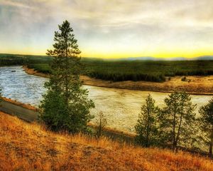 Preview wallpaper river, coast, pines, road, colors, paints, autumn, grass, faded