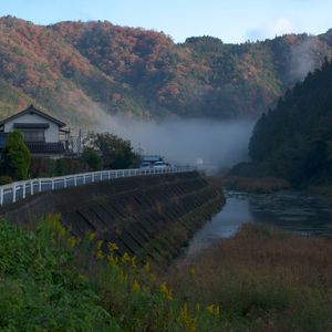 Preview wallpaper river, coast, road, slope, forest, fog