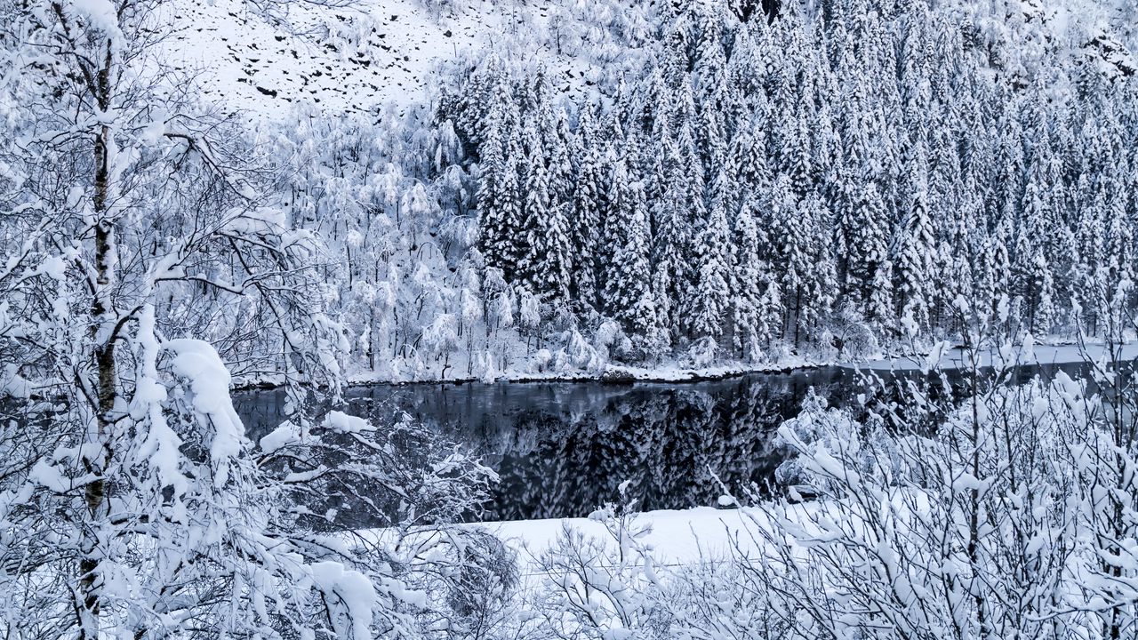 Wallpaper river, coast, snow, slope, trees, winter