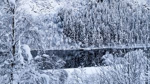 Preview wallpaper river, coast, snow, slope, trees, winter