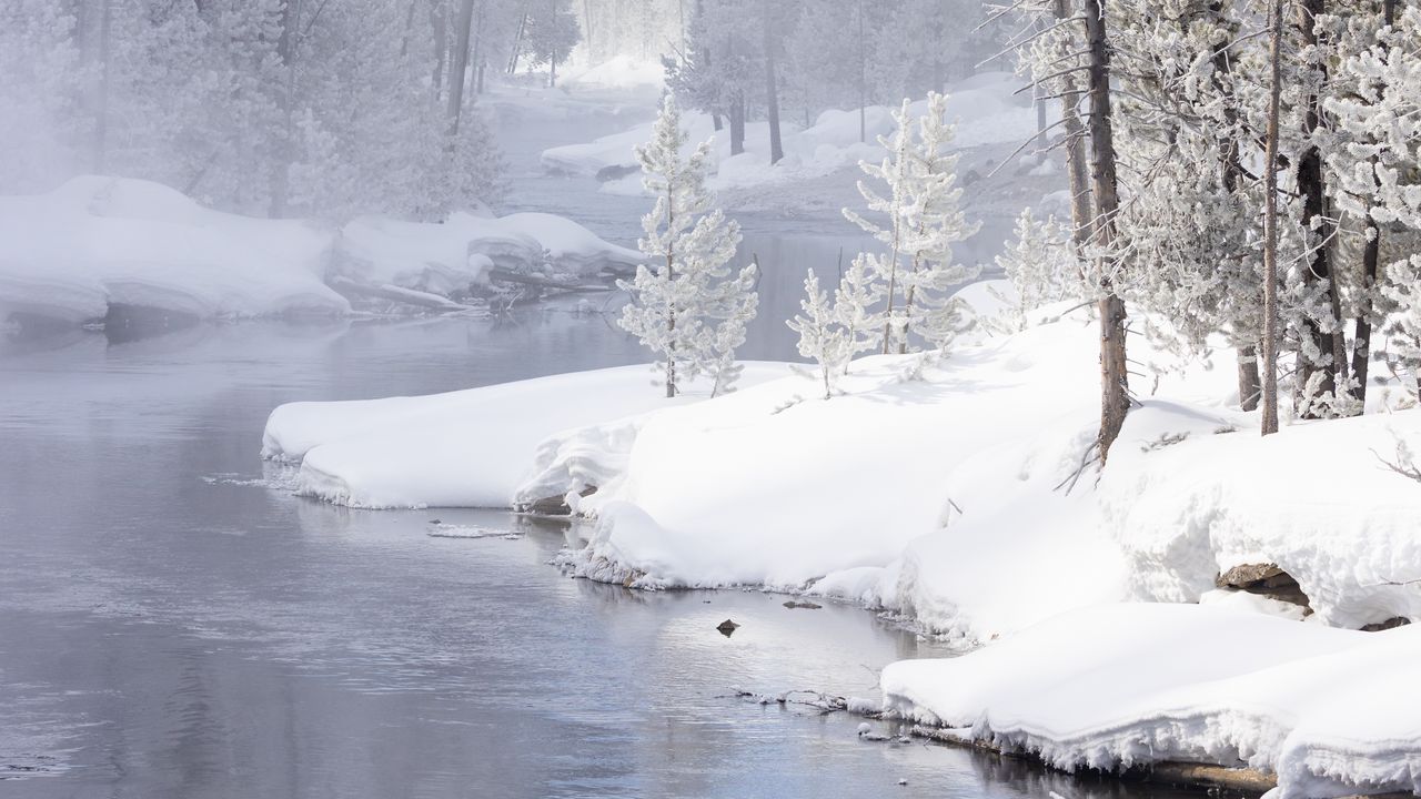 Wallpaper river, coast, snow, trees, mountain