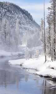 Preview wallpaper river, coast, snow, trees, mountain