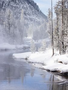 Preview wallpaper river, coast, snow, trees, mountain