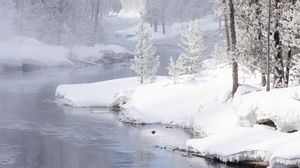 Preview wallpaper river, coast, snow, trees, mountain