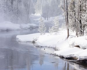 Preview wallpaper river, coast, snow, trees, mountain