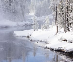 Preview wallpaper river, coast, snow, trees, mountain