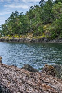 Preview wallpaper river, coast, trees, rocks, nature