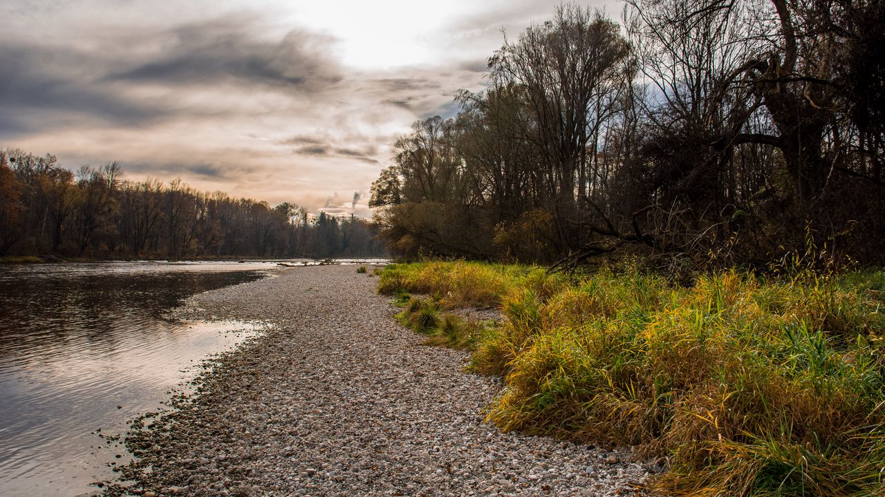 Wallpaper river, coast, trees, water, nature