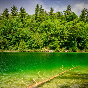 Preview wallpaper river, coast, trees, nature, landscape, green