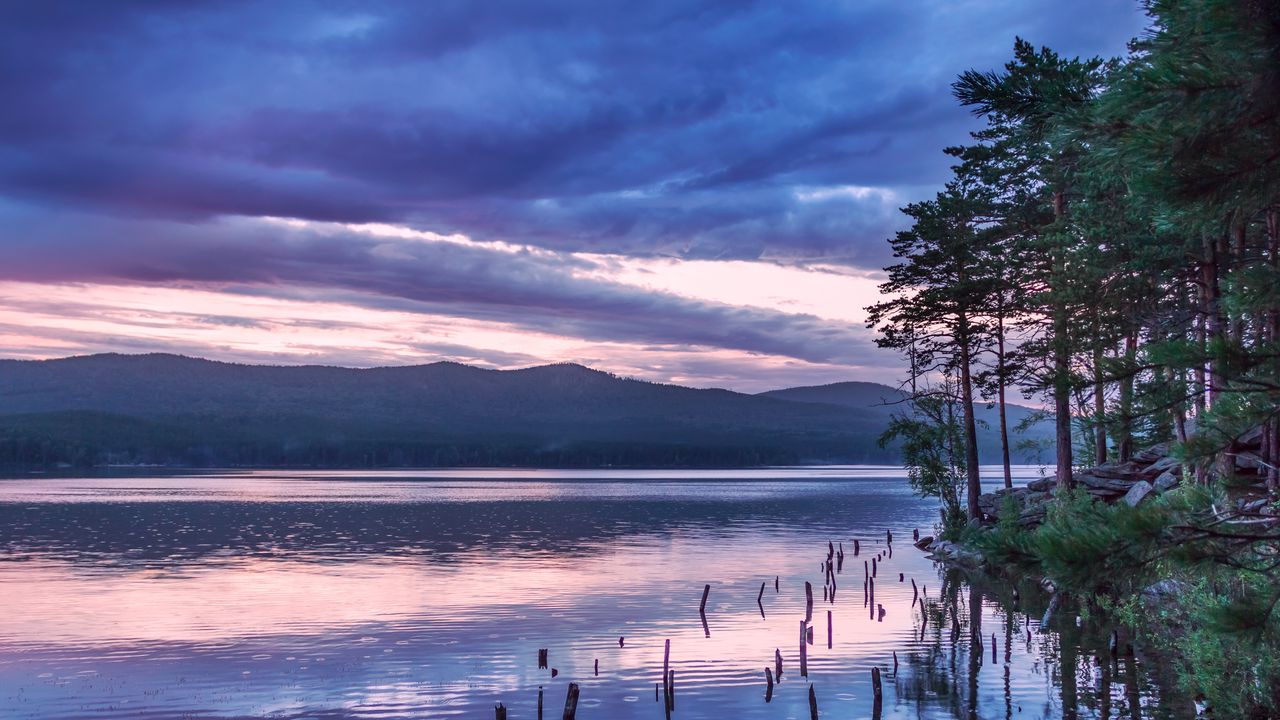 Wallpaper river, coast, trees, reflection, nature