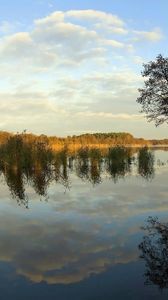 Preview wallpaper river, coast, trees, reflection, day