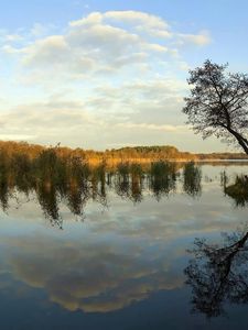 Preview wallpaper river, coast, trees, reflection, day